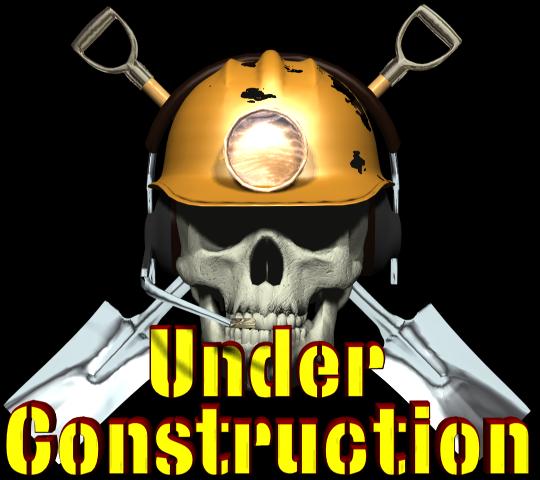 skullconstruct2.jpg (39368 bytes)